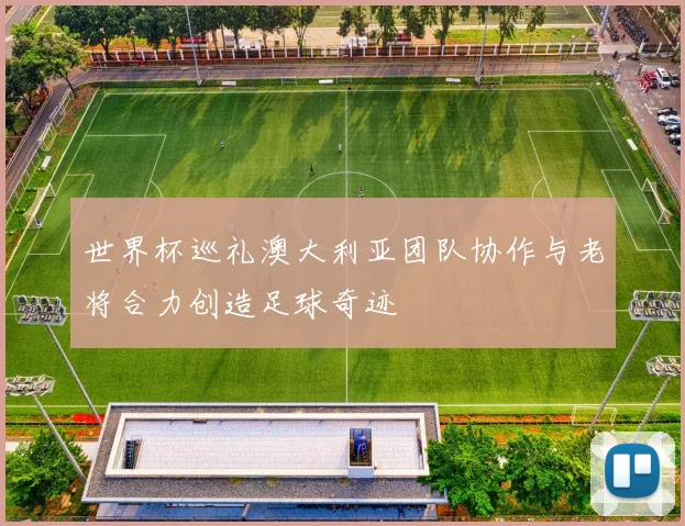 世界杯巡礼澳大利亚团队协作与老将合力创造足球奇迹