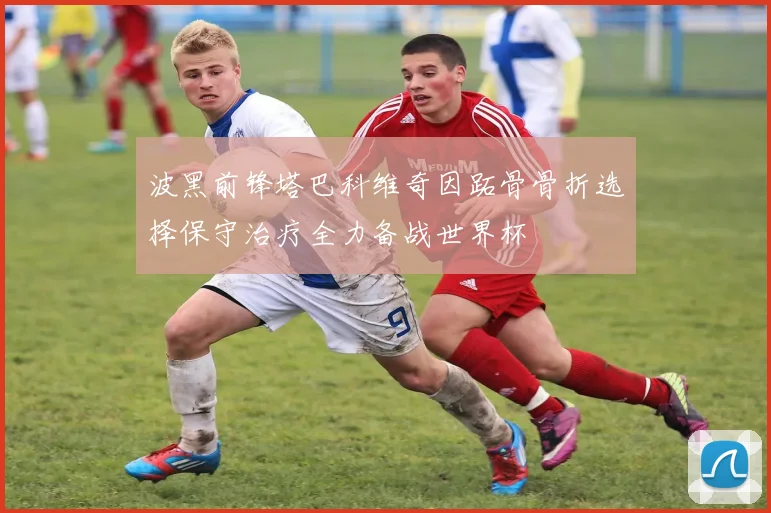 波黑前锋塔巴科维奇因跖骨骨折选择保守治疗全力备战世界杯