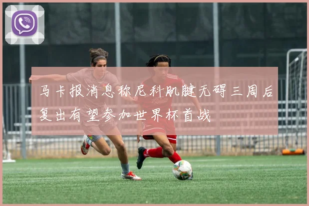 马卡报消息称尼科肌腱无碍三周后复出有望参加世界杯首战